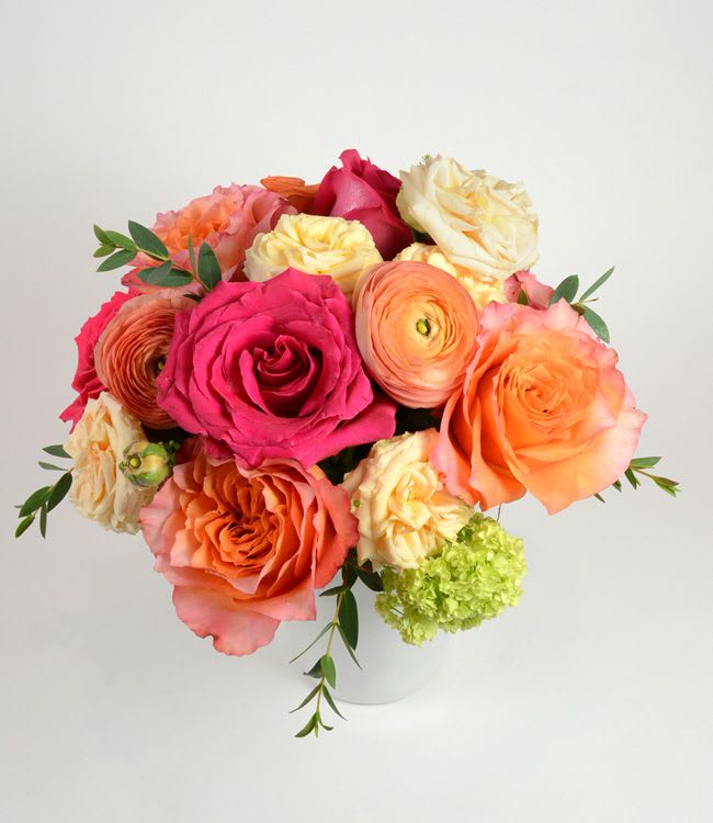 Ocean Sunrise - A bright, romantic cluster of roses and ranunculus-this flower arrangement is a birthday bouquet and anniversary surprise wrapped into one. The Ocean Sunrise arrangement pairs vivid pink, coral and peach blooms with soft cream tones to create a warm, uplifting look that's perfect for Mother's Day or any celebration where you want the person you're thinking of to feel cherished.  Dense, rounded and intentionally full, the design features tightly packed roses and ranunculus with a single lime-green hydrangea bloom near the base for a fresh pop of contrast. Sparse greenery lends a relaxed, hand-tied feel while the simple white vase keeps the focus squarely on the flowers; the overall effect reads bright, joyful and elegant without being fussy.  Give this to someone who deserves to feel seen-whether it's a milestone birthday, an anniversary, or a thoughtful surprise. The compact, vase-ready format arrives ready to display.