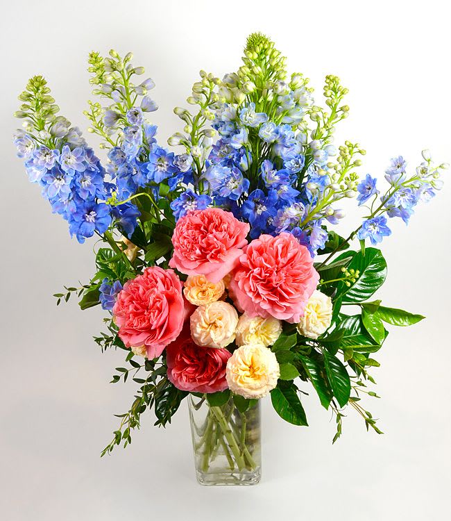 Spring Garden Medley - Tall blue delphinium spikes rise above a lush cluster of coral-pink and cream roses creating a lively, garden-inspired flower arrangement perfect for birthdays, thank-you gifts, or spring celebrations. This upright bouquet sends a cheerful, celebratory message to the person you're thinking of-she'll feel noticed and genuinely celebrated by the mix of vertical drama and soft, rounded blooms.  The arrangement is presented in a clear glass vase that showcases the fresh stems and keeps the look simple and natural. Glossy green foliage frames the composition, adding contrast and a garden-fresh texture against the pastel palette of blue, pink, white, and green. Its full, polished silhouette fits well on a dining table, desk, or entryway.  Ideal for everyday gifting or marking special moments, this bouquet reads as both joyful and refined-a thoughtful way to brighten someone's day. 