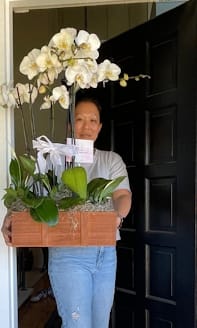 Tall white orchid planter in a wooden box held by a person standing in a doorway