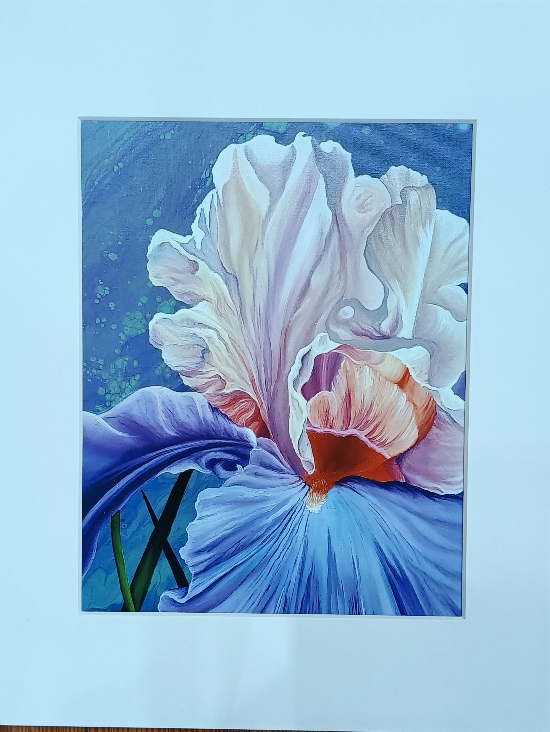 Framed painting of a large iris flower in blue and white tones