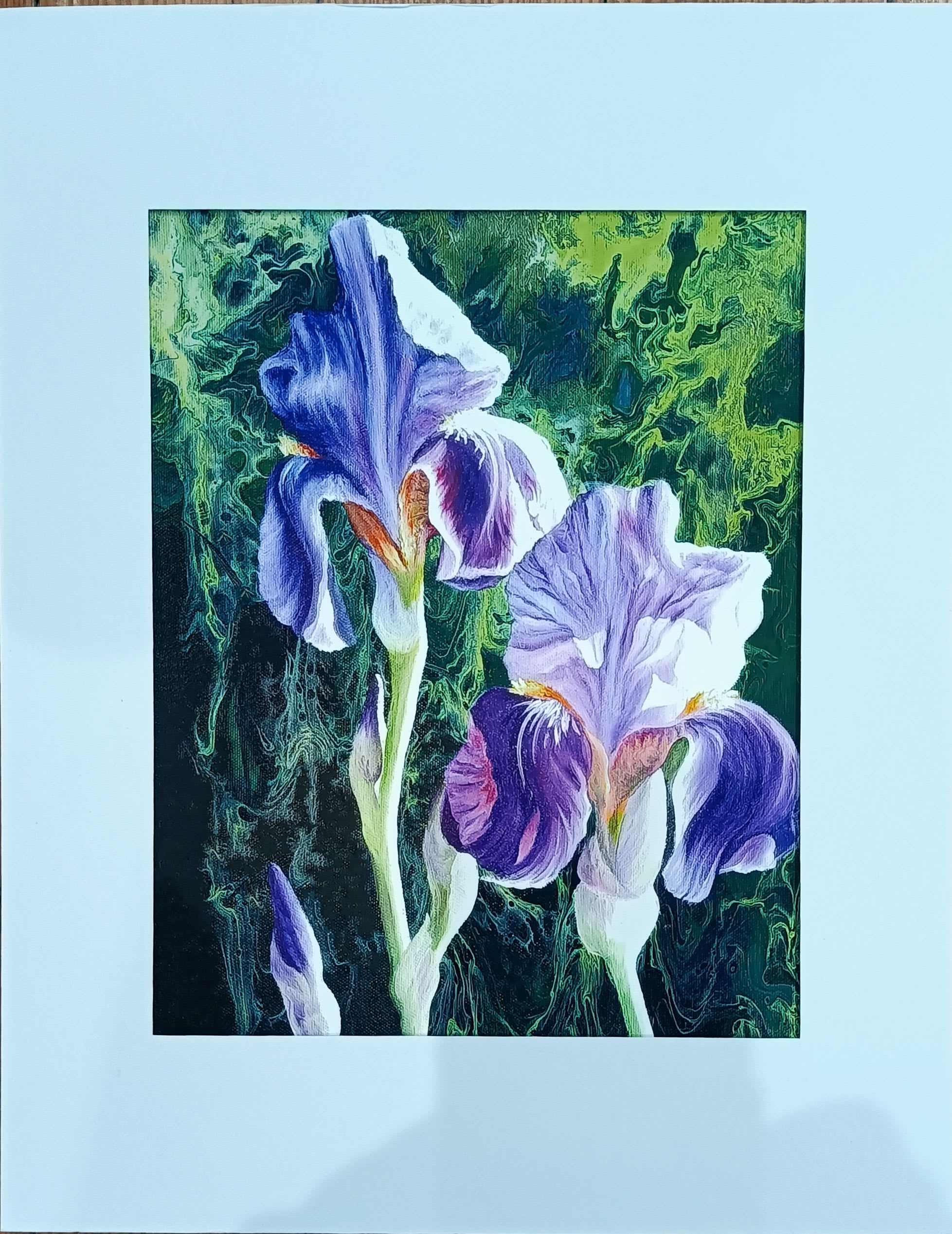 Two purple and white iris blooms against a dark green background