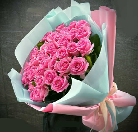 Bouquet of pink roses wrapped in pastel blue and pink paper
