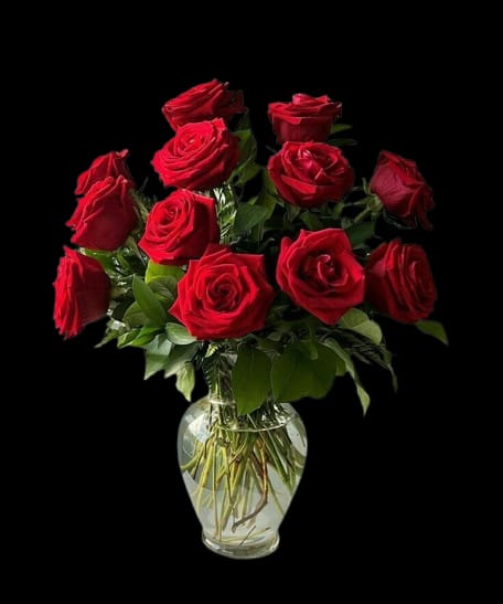 Classic Dozen Red - A dozen deep red roses gathered into a lush, rounded bouquet creates an immediate impression of timeless romance-ideal as a birthday bouquet, anniversary roses, or a Valentine's Day gift that says "you're cherished." The Classic Dozen Red arrangement is built for those moments when the person you're thinking of should feel deeply seen and celebrated.  These red roses are tightly opened and grouped in a clear glass vase, the visible green stems and crisp water giving a fresh, no-fuss presentation. Accents of green foliage and small white highlights enhance the rich crimson petals and add visual contrast, while the varying bloom heights produce a full, rounded silhouette that reads classic and elegant.  Perfect for romantic gestures, congratulations, or simply brightening someone's day, this arrangement arrives ready to display-no extra trimming required beyond normal fresh-flower care. To keep the roses at their best, change the water every few days, trim stems at an angle, and remove any foliage below the waterline; the size and vase style make it an easy centerpiece for a dining table or bedside table.