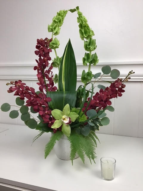 Orchid arrangement in a white vase with green and burgundy blooms