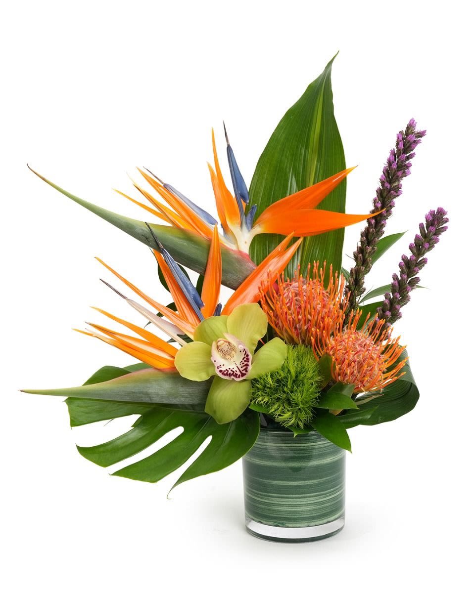 Tropical arrangement with birds of paradise, protea, orchid, and large leaves in a glass cylinder vase