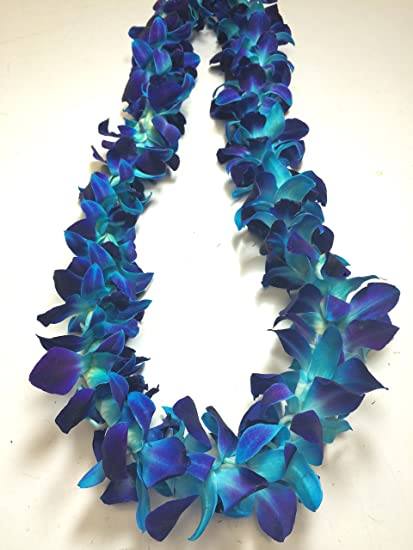 Blue and teal dendrobium orchid lei arranged in a loose oval on a white surface