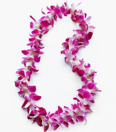 Purple Orchid Lei  - Ideal for graduations, luau-style events, or simply as a cheerful gift to mark a happy milestone, this purple single orchid lei is a portable, wearable arrangement that sends an immediate message of warmth and celebration. Handle gently, store in a cool place until use, and present fresh-the dense bloom construction keeps the orchids looking full and radiant for the event.  If you want a ribbon to match the graduates school colors, leave us a note in the order!