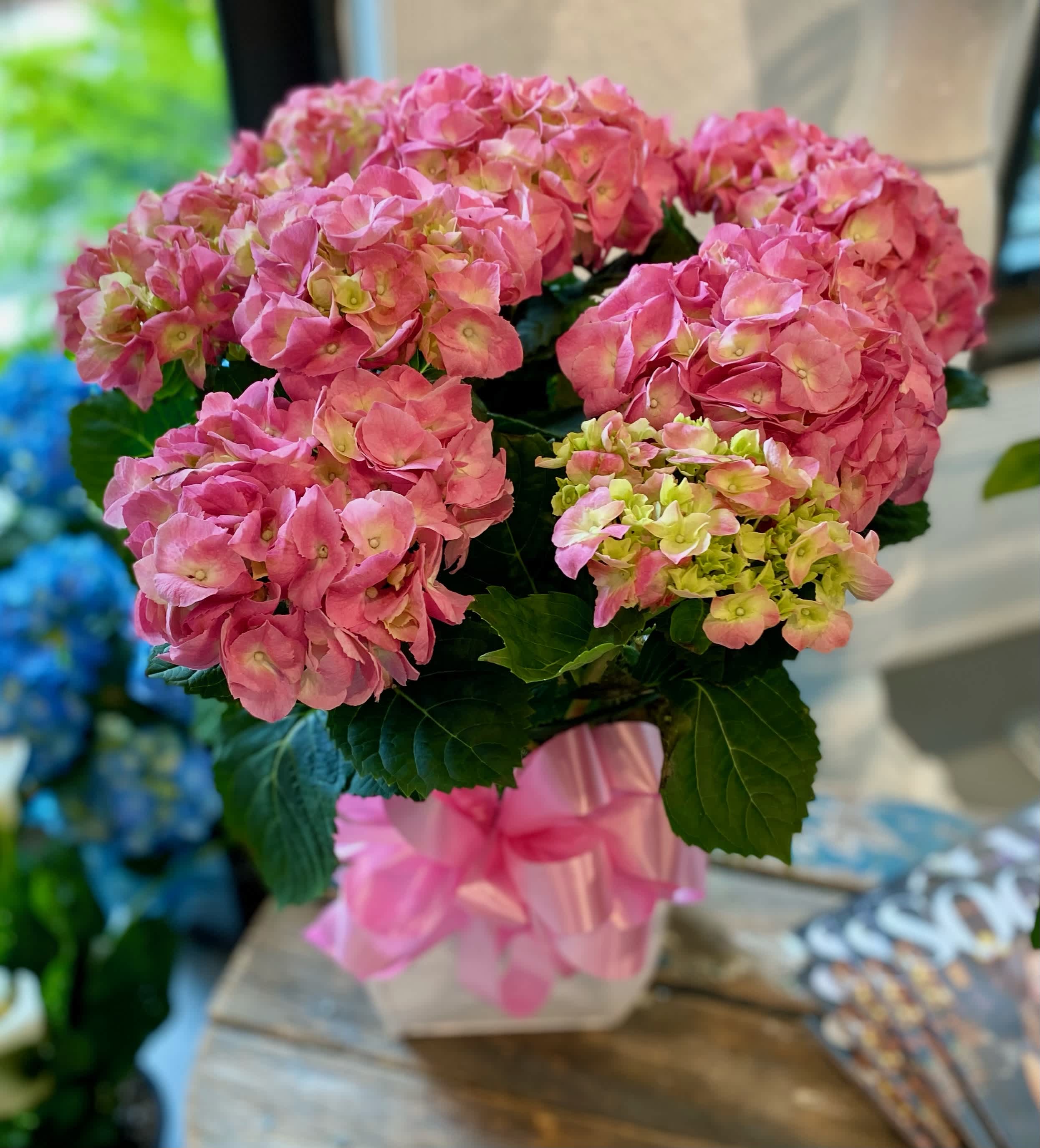 Pink hydrangea bouquet in a clear vase with a pink ribbon