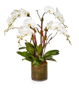 White orchid arrangement in a glass vase