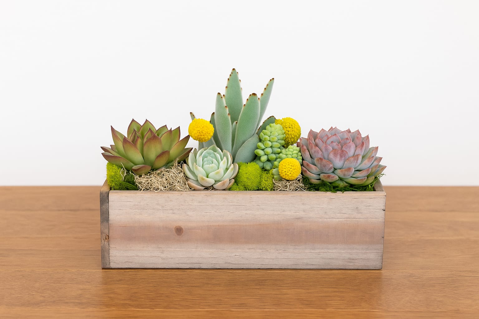 Succulent arrangement in a rectangular wooden planter with yellow accents