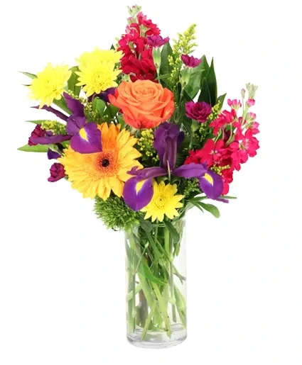 Afternoon Garden Floral Arrangement - This cheerful arrangement is bursting with vibrant hues of yellow, orange, and purple irises. Afternoon Garden captures the essence of a sunlit garden with its mini carnations, irises, stock, and more, bringing warmth and joy to any space. Perfect for brightening someone's day, add a splash of color and a touch of happiness to any occasion.  Includes: Small Cylinder Vase, Greens: Coccullus, Dark Purple Mini Carnations, Green Trick Dianthus, Orange Gerbera, Purple Irises, Yellow Daisy Pom, Orange Rose, Yellow Solidago, Raspberry Stock.