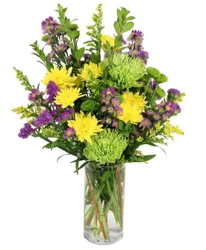 Cheerful Jubilee - Celebrate every moment with Cheerful Jubilee, an arrangement bursting with joyful yellow daisy poms, bright Monte Casino asters, lively green button poms, and striking green spider mums. This arrangement is perfect for sending smiles and brightening up spaces with its bold colors and playful design. Order Cheerful Jubilee for a fun and fresh flower delivery that’s sure to spread cheer wherever it goes!  Includes: Purple Viking Monte Casino Aster, Green Button Poms, Yellow Daisy Poms, Yellow Solidago, Green Spider Mums, Deep Purple Statice, Greens: Myrtle, Cylinder Vase