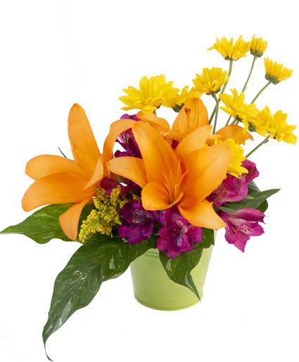 Life in Lilies Flower Arrangement - This lively bouquet is the perfect reminder that life is beautiful! Featuring gorgeous orange lilies, fuchsia alstroemeria, yellow daisies, and more, Life in Lilies is a bright and fresh mix. Send the ones you love some joy today with this stunning design. It's sure to make them smile!  Includes: Small Bucket, Greens: Peace Lily Foliage, Flowers: Yellow Daisy Poms, Fuscia Alstroemeria, Orange Lilies, Solidago.