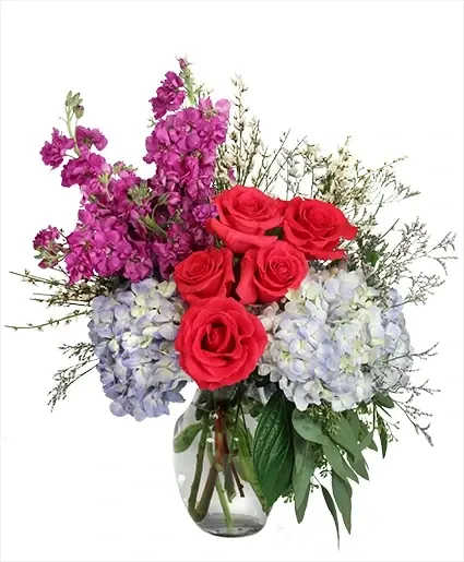 Cheerful Celebration Flower Arrangement - This marvelous bouquet will have them cheering! The hot pink roses and purple stock contrast gorgeously against the blue hydrangeas and white statice, making Cheerful Celebration a striking color mix. Celebrate your love for them with this delightful bouquet!  Includes: Rose Vase , Seeded Eucalyptus, Genestra, Salal, White Statice , Blue Hydrangea, Hot Pink Roses, Purple Stock .