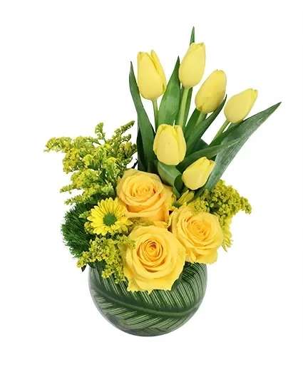 Yellow Optimism Flower Arrangement - This cheerful bouquet is sure to spark joy! Full of wondrous hues of yellows and greens, the lovely daisy poms, roses, tulips, and more make Yellow Optimism a true delight. Add this dazzling bouquet to your home today!  Includes: Clear Bubble Bowl, Calathea Leaves, Solidago , Green Trick Dianthus , Yellow Daisy Pom, Yellow Roses, Yellow Tulips .