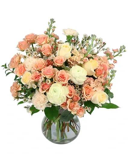 Loving Touch Flower Arrangement - As delicate as the spring breeze and as sweet as the fragrance it gives off, Loving Touch is the perfect way to express how you feel. With soft colors of peaches and cream in stunning roses, carnations, ranunculus, stock, and waxflower, this bouquet will fill their heart with joy. Order this arrangement today for someone you love.  Includes: Sweetheart Vase, Myrtle, Salal, Antique Peach Carnations , Peach Carnations, White Ranunculus , Cream Roses, Peach Spray Roses, Peach Stock , White Waxflower.