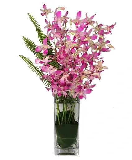 Dazzling Dendrobiums Orchid Arrangement - Tall Square Vase, Foliage: Ti Leaf, Lily Grass, Fern, Bicolored Lavender &amp; White Dendrobium Orchids.