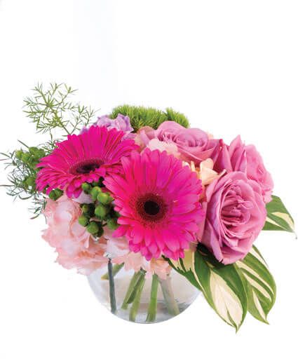 Pink Amore Floral Arrangement - This delightful arrangement is sure to show them your love! With stunning pink gerberas, lavender carnations, pink roses, light pink hydrangeas, and more, Pink Amore is a pink lover's dream come true. Send this pink pick-me-up to your loved ones today!  Includes: Bubble Bowl , Greens: Asparagus Fern , Calathea , Flowers: , Pink Roses , Hot Pink Gerberas , Lavender Carnations , Green Hypericum , Light Pink Hydrangea , Green Trick Dianthus.