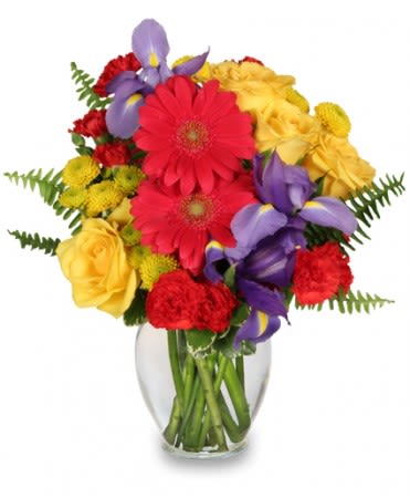 Flora Spectra Bouquet - Getting fresh flowers is always memorable and special for your recipient - regardless of their age. Featuring brightly-colored blooms like fuchsia gerberas, yellow roses and purple iris, this bouquet has just what it takes to bring some fun and show how much you care!  Includes: Classic Urn Vase, Foliage: Variegated Pittosporum, Sword Fern, Fuchsia Gerberas, Purple Iris, Red Mini Carnations, Yellow Button Poms, Yellow Roses.