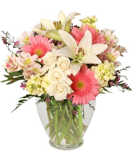 Welcome Baby Girl Flower Arrangement - This delicate arrangement is sure to delight! With lovely white Asiatic lilies, picturesque white mini spray roses, dazzling pink and white alstroemeria, beautiful pink gerberas, and more, this charming bouquet is sure to bring cheer to any room. Send this exquisite arrangement to welcome the newest addition to the family!  Includes: Ginger Vase, Foliage: Leather Leaf, Variegated Pittosporum, White Asiatic Lilies, Cream Stock, White Miniature Spray Roses, Pink &amp; White Variegated Alstroemeria, Pink Gerberas, Lavender Waxflowers.
