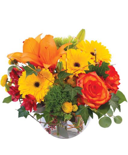 Faithful Fall Floral Arrangement - This wonderful arrangement is full of fall vibes! Featuring stunning orange roses, yellow button poms, orange lilies, and more, Faithful Fall is a gorgeous mix of the beautiful colors of autumn. Send this lovely bouquet to someone you love and surprise them today!  Includes: Bubble Bowl, Greens: Silver Dollar Eucalyptus, Salal, Seeded Eucalyptus , Ivy, Flowers: Yellow Gerberas, Orange Roses, Fuschia Alstroemeria, Yellow Button Poms, Orange Lillies, Green Trick Dianthus, Green Spider Mums.