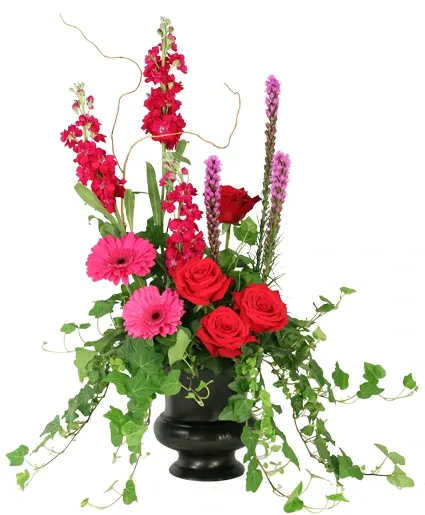 Peaceful Adornment Flowering Plants - Peaceful Adornment features an ivy plant surrounded by beautiful hot pink roses, gerberas, and stock. It allows you to express your deepest condolences while celebrating the vibrant spirit of a life well-lived. The lush green of the ivy complements the vivid hot pink, symbolizing enduring memories that live on forever.  Includes: Ivy Plant, Hot Pink Gerberas, Purple Liatris, Hot Pink Roses, Hot Pink Stock, Greens: Curly Willow Tips, Black Urn.