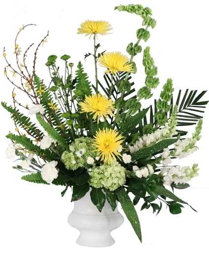 Comforting Memory Sympathy Urn - Sweet memories of a loved one's life come together in this thoughtful arrangement. With white carnations, green hydrangeas, white snapdragons, and bright yellow spider mums, Comforting Memory is a welcome gift in times of sorrow. Order this precious arrangement today.  Includes: Bells Of Ireland, White Carnations, White Mini Carnations, Forsythia Branches, Green Hydrangeas, Green Button Poms, White Snapdragons, Yellow Spider Mums, Greens Milky Way Aspidistra, Fatsia, Israeli Ruscus, Salal Tips, Feather Fern, Tepe Palm, White