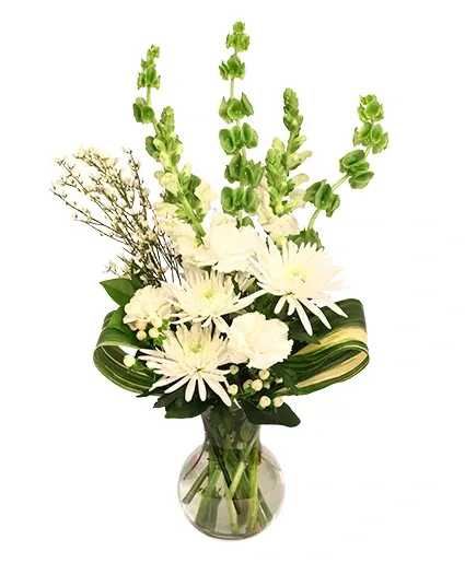 Whimsical Memories Flower Arrangement - This delicate arrangement is full of grace! With elegant white carnations, spider mums, stock, and more, Whimsical Memories is sure to be a timeless beauty. Make the most of any occasion with this alluring bouquet!  Includes: Sweetheart Vase, Variegated Aspidistra, Genestra, Bells Of Ireland , White Carnations, White Hypericum , White Spider Mums, White Stock.