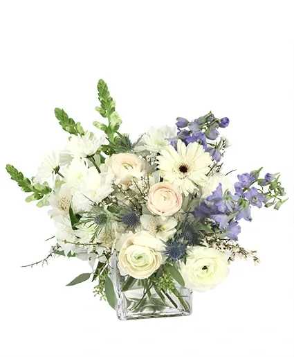 Simply Pure Vase Arrangement - A classic display of nature’s beauty, Simply Pure is perfect for any occasion. This arrangement is timeless with white carnations, alstroemeria, gerberas, and ranunculus highlighted with soft blues of delphinium and thistle. Order this simply stunning arrangement today!  Includes: Square Vase, Seeded Eucalyptus, Genestra, White Alstroemeria , White Carnations , Blue Delphinium , White Gerbera, White Daisy Poms, White Ranunculus , White Snapdragons, Blue Thistle .