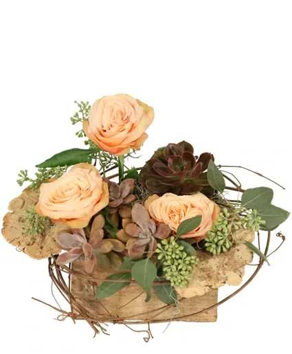 Tranquil Grove House Plant - Presented in a rustic wooden box, Tranquil Grove mixes the raw beauty of nature with the delicate poise of floral artistry. It features an eclectic mix of succulents, earthy mushrooms, woven grapevines, and soft roses. This unique composition offers a serene and grounding presence, suitable for expressing heartfelt condolences with a subtle nod to the enduring cycle of life and nature’s quiet resilience.  Includes: Peach Roses, Succulents, Greens: Flat Mushrooms, Grapevine, Seeded Eucalyptus, Wood Box.