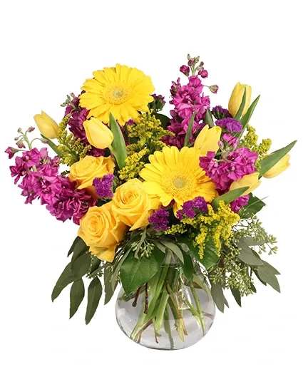 Jazzy Jubilee Vase Arrangement - This dazzling arrangement packs a punch of color! The bright yellow gerberas, roses, and tulips contrast gorgeously with the purple stock and statice, making Jazzy Jubilee a vibrant mix. Send this lively bouquet to someone who needs a pick-me-up today!  Includes: Sweetheart Vase , Seeded Eucalyptus, Salal, Solidago , Yellow Gerberas, Yellow Roses, Purple Statice , Purple Stock, Yellow Tulips.
