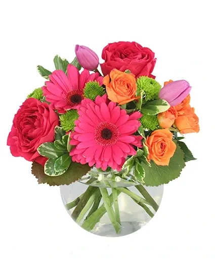 Be Lovable Arrangement - Bright, fiery blooms of hot pink gerberas, hot pink garden roses, mini orange spray roses, and purple tulips create a bubble of happiness. Send these fresh flowers to those you love this spring!  Includes: Bubble Bowl, Foliage: Variegated Pittosporum, Galax Leaves, Hot Pink Gerberas, Hot Pink Garden Roses, Orange Miniature Spray Roses (Babe), Green Button Poms (Kermit), Purple Tulips.
