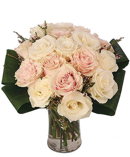 Pearl Perfection Rose Arrangement - White roses are a truly stunning site to behold. With 18 perfect stems, Pearl Perfection is a dreamy bouquet that any rose lover would like to receive.  Includes: Clear Gathering Vase, Greens: Aspidistra Leaves, Flowers: Soft Pinkcream Or Whitecream, White Calcinea.