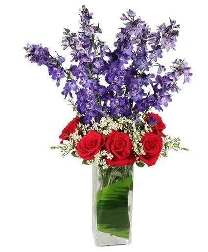 AMERICAN SPIRIT Arrangement - Send Floral Fireworks with the American Spirit flower arrangement! Featuring vibrant red roses and bold blue delphinium, this arrangement embodies the true spirit of patriotism. The American Spirit arrangement is ideal for your favorite patriotic celebration or just as a thank you to your favorite military serviceman!  Includes: Tall Square Vase, Foliage: Variegated Hosta, Variegated Pittosporum, Blue Delphinium, Red Roses, White Waxflower.