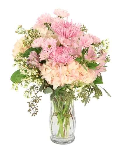 Dreamy Sweetness Vase Arrangement - Delicate and charming, this arrangement features soft pink hydrangeas, lavender daisy poms, and white wax flowers, creating a graceful display perfect for any occasion. With its gentle pastel hues, Dreamy Sweetness brings a touch of elegance and tranquility to any setting. Whether celebrating a special moment or simply adding beauty to everyday life, this arrangement will surely delight and inspire.  Includes: Small Cylinder Vase, Greens: Seeded Eucalyptus, Salal Tips, Purple Alstroemeriasas, Pink Hydrangeas , Lavender Daisy Poms, Lavender Spider Mums, White Waxflowers.