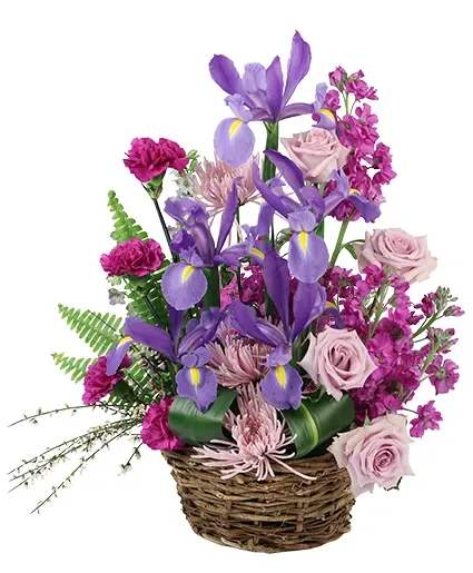 Iris Affection Basket Arrangement - Irises are the star of this basket of beauty. With its moon carnations, roses, spider mums, and of course, irises, Iris Affection is as beautiful as it is sweet. Order this for someone you love today.  Includes: Basket With  , Variegated Aspidistra, Genestra, Pittosporum, Sword Fern, Moon Carnations, Iris , Larkspur, Lavender Roses, Lavender Spider Mums, Purple Stock.