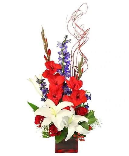 Victory Fireworks Vase Arrangemen - Celebrate summer time patriotism with an arrangement that stands tall with American pride. The Victory Fireworks arrangement features a red cube vase, vibrant red gladiolus, and brilliant blue delphinium that will bring joy to the heart of any serviceman or veteran. This arrangement is perfect for a centerpiece or just as a patriotic gift with bright white lilies that are like fireworks bursting in the air.  Includes: Red Cube Vase, Red Ting Ting, Foliage: Salal, Variegated Mini Pittosporum, Red Gladiolus , Blue Delphinium , Babies Breath, White Oriental Lilies, Red Roses, Red Hypericum.