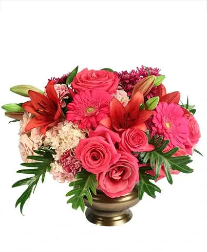 Divinely Dramatic Flower Arrangement - This arrangement is, for sure, the drama! The lovely gerberas, roses, hydrangeas, lilies, and more in striking shades of pink, red, and purple, make Divinely Dramatic a statement piece worth highlighting. Send this darling arrangement to someone who needs a little drama in their life!  Includes: Antique Brass Designer Urn , Italian Ruscus, Xanadu, Salal , Pink Bicolor Carnations, Hot Pink Gerberas, Pink Hydrangea, Red Lilies, Purple Cushion Poms, Hot Pink Roses, Light Pink Spray Roses.