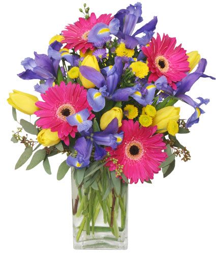 Spring Smiles Arrangement - Enjoy the bright colors of spring with this enchanting bouquet! With hot pink gerberas, blue iris, yellow tulips, and more, Spring Smiles is a vibrant arrangement bursting with color. Charming and lovely, it's sure to bring a smile to faces near and far!  Includes: Tall Square Vase,  foliage: Seeded Eucalyptus,   Hot Pink Gerberas,   Blue Iris,   Yellow Tulips,   Yellow Button Poms.