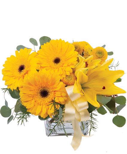 Petite Yellow Flower Arrangement - A delightful little arrangement, Petite Yellow packs an uplifting punch. Yellow gerberas, lilies, and button poms will put a smile on their faces in no time! Send them some happiness with an adorable flower arrangement that is full of cheerful blooms. It doesn’t take much to make these flowers look good!  Includes: Cube Vase, Yellow Ribbon, Asparagus Fern, Silver Dollar Eucalyptus, Flowers: , Yellow Button Poms, Yellow Gerberas, Yellow Lily.