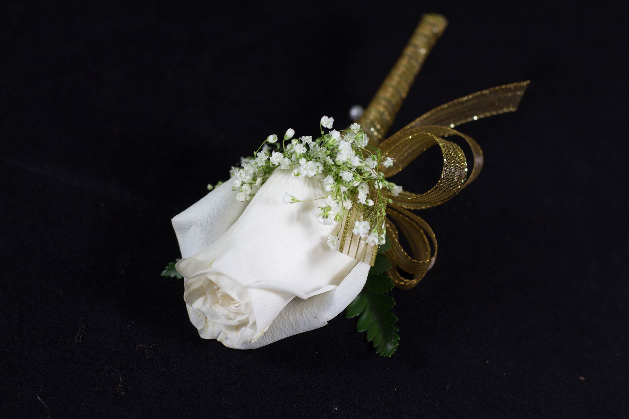 White rose boutonniere with baby's breath and gold ribbon