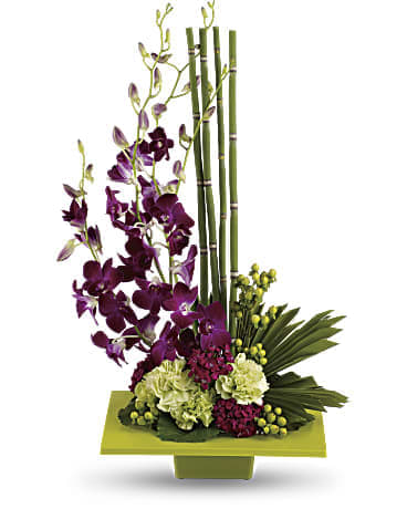 zen orchid bouquet  - A kiwi-colored square dish presents an arrangement of purple dendrobium orchids, green carnations, dark pink Sweet William, green hypericum, an emerald palm leaf, bamboo-like equisetum, galax leaves and sheet moss.