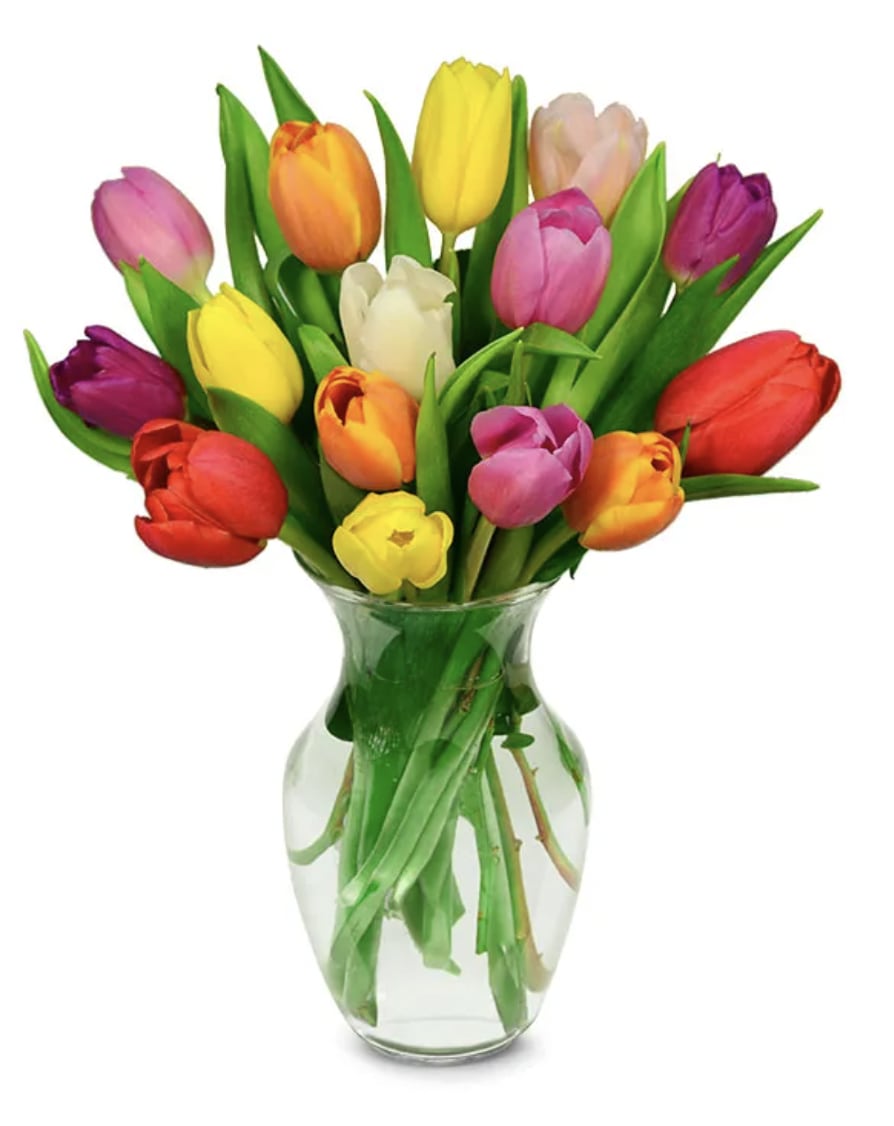 Colorful tulips arranged in a clear glass vase