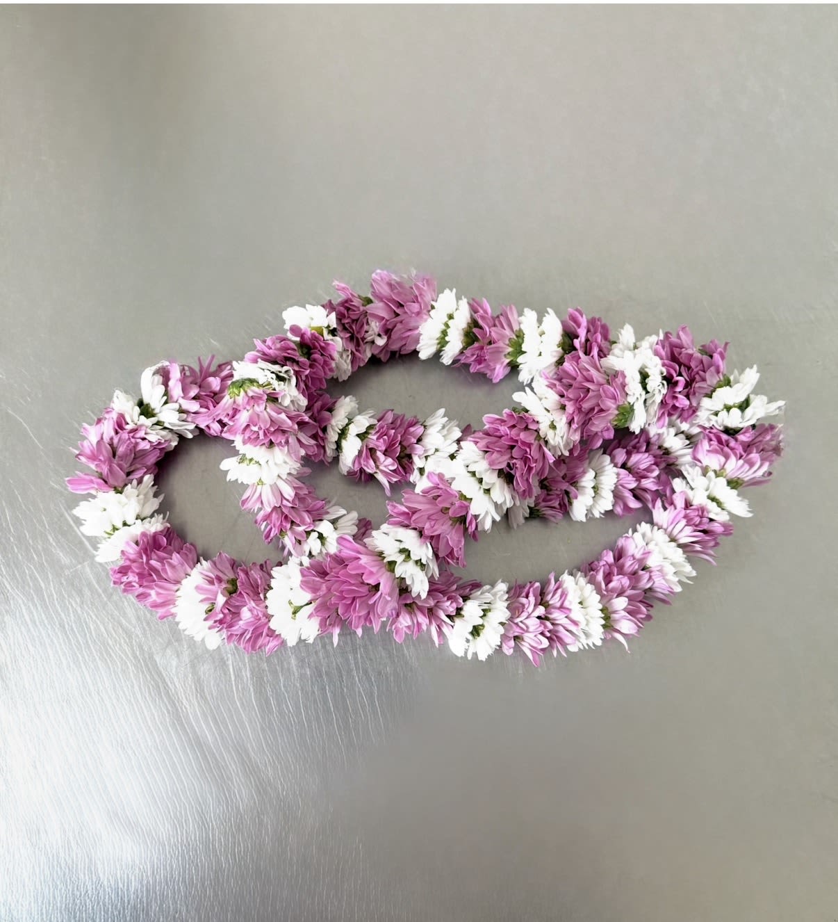 Daisy Lei or Chrysanthemum Lei - A full, rounded lei handcrafted with alternating sections of fresh white and rich magenta/purple flowers.  Daisy Lei or Chrysanthemum Garland, it offers a lush, textured appearance that is both traditional and modern.  Significance: Traditionally symbolizing connection, appreciation, and the spirit of aloha, these garlands are a timeless gesture for welcoming or honoring loved ones. 