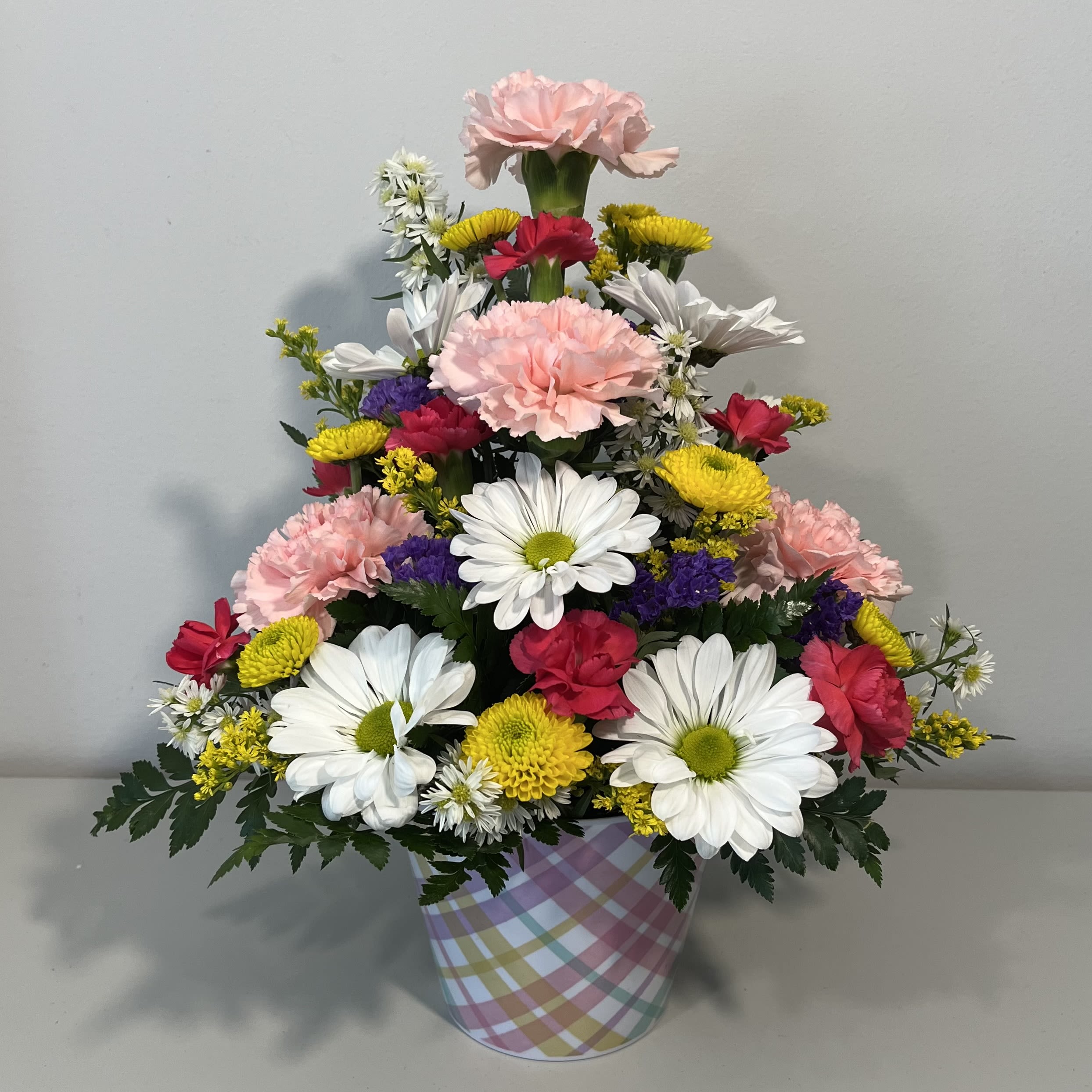 Simply Basic - Pastel Plaid Melamine Pot filled with Carnations, Daisies, Mini Carnations and Filler flowers. (all flowers may be substituted due to availability)