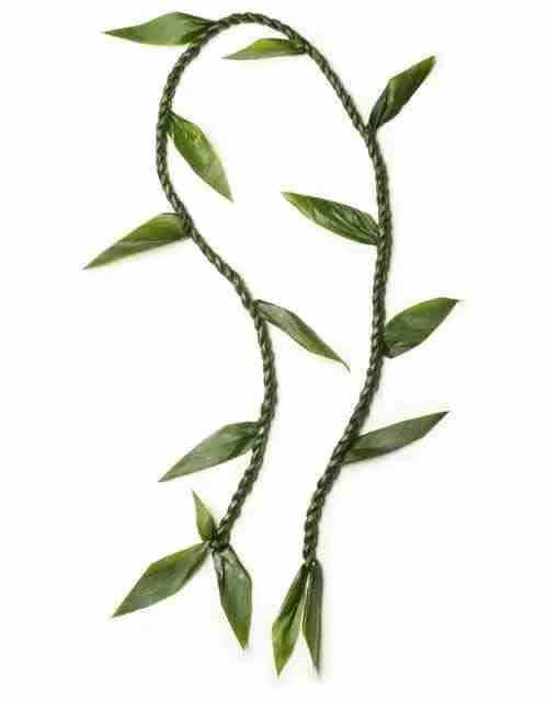 Braided green vine garland with scattered leaves on a white background