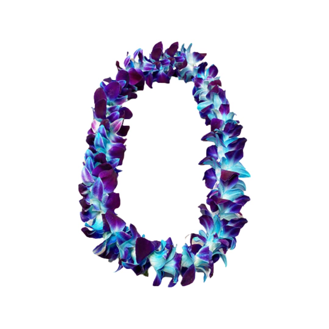 Purple and blue flower lei on a white background