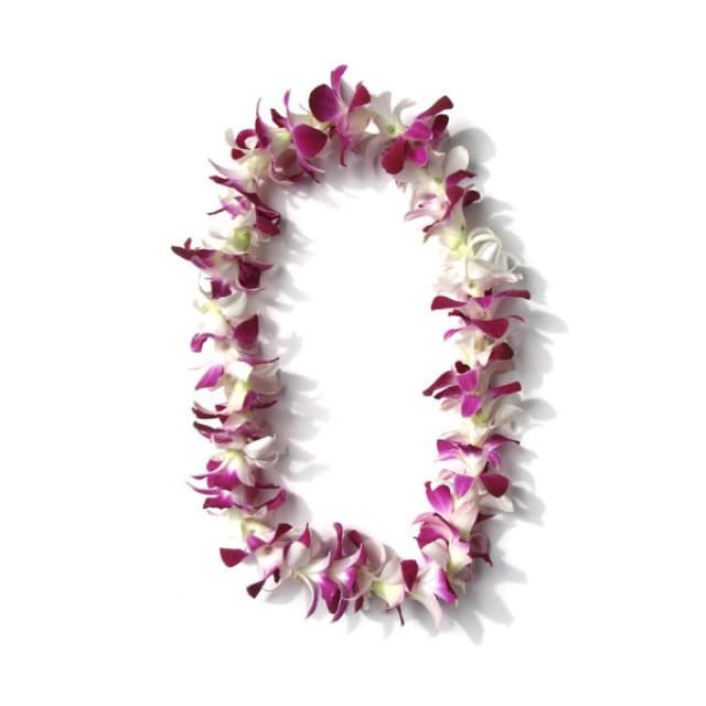 Purple and white orchid lei on a white background