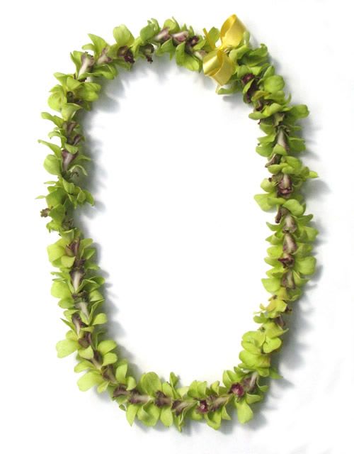 Green floral lei with small yellow accents on a white background