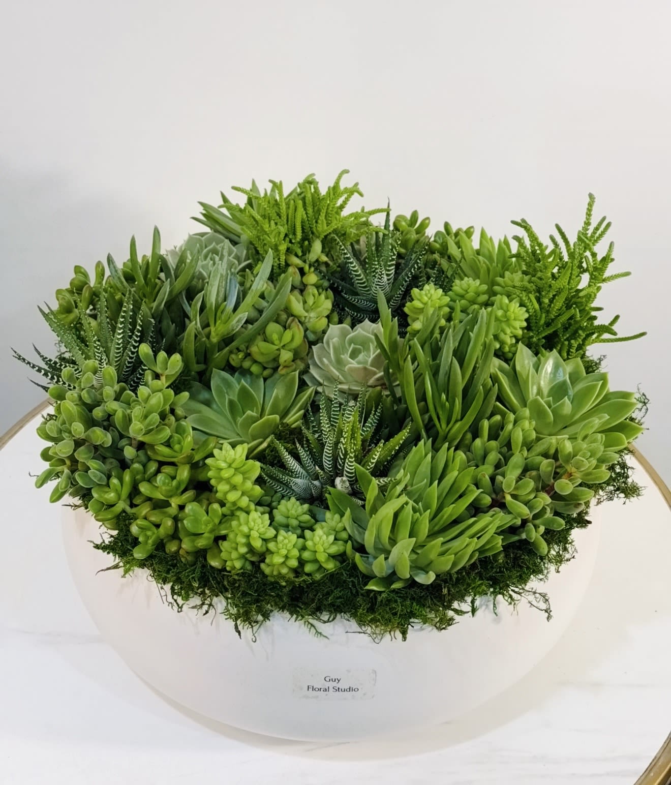 Elegant Green Succulent Bowl Arrangement - Experience the beauty of nature with this elegant green succulent bowl arrangement, exclusively designed by Guy Floral Studio. This lush composition features a carefully curated selection of premium succulents in a variety of shapes and textures, creating a full, vibrant, and harmonious design. Set in a sleek ceramic container, this arrangement highlights rich green tones that bring a sense of calm, freshness, and modern sophistication to any space. Its clean and organic aesthetic makes it a perfect addition to homes, offices, or as a thoughtful gift for any occasion. Each piece is handcrafted with precision and attention to detail, ensuring a balanced and refined look that reflects the signature style of Guy Floral Studio. Succulents are long lasting and low maintenance, offering a beautiful alternative to traditional floral arrangements. We proudly offer same day delivery in Los Angeles, including Beverly Hills, Bel Air, West Hollywood, Hollywood Hills, Beverly Grove, Culver City, and Santa Monica. Every arrangement is prepared with care and delivered to impress. Product Dimensions: Height: 9 inches Width: 16 inches  Order now from Guy Floral Studio and enjoy fresh, modern design with reliable same day delivery.
